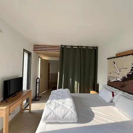 Confortable Avec Piscine Privee, Terrasse Et Jardin - Fr-1-778-44 * Dolus d'Oléron